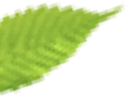 bg-nutrioli