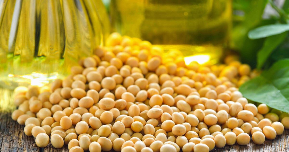 Is soybean oil healthy for you? Nutrioli®