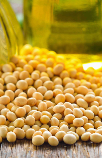 Is soybean oil healthy for you?
