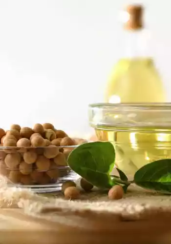 Benefits of integrating soybean oil into your dietary regimen