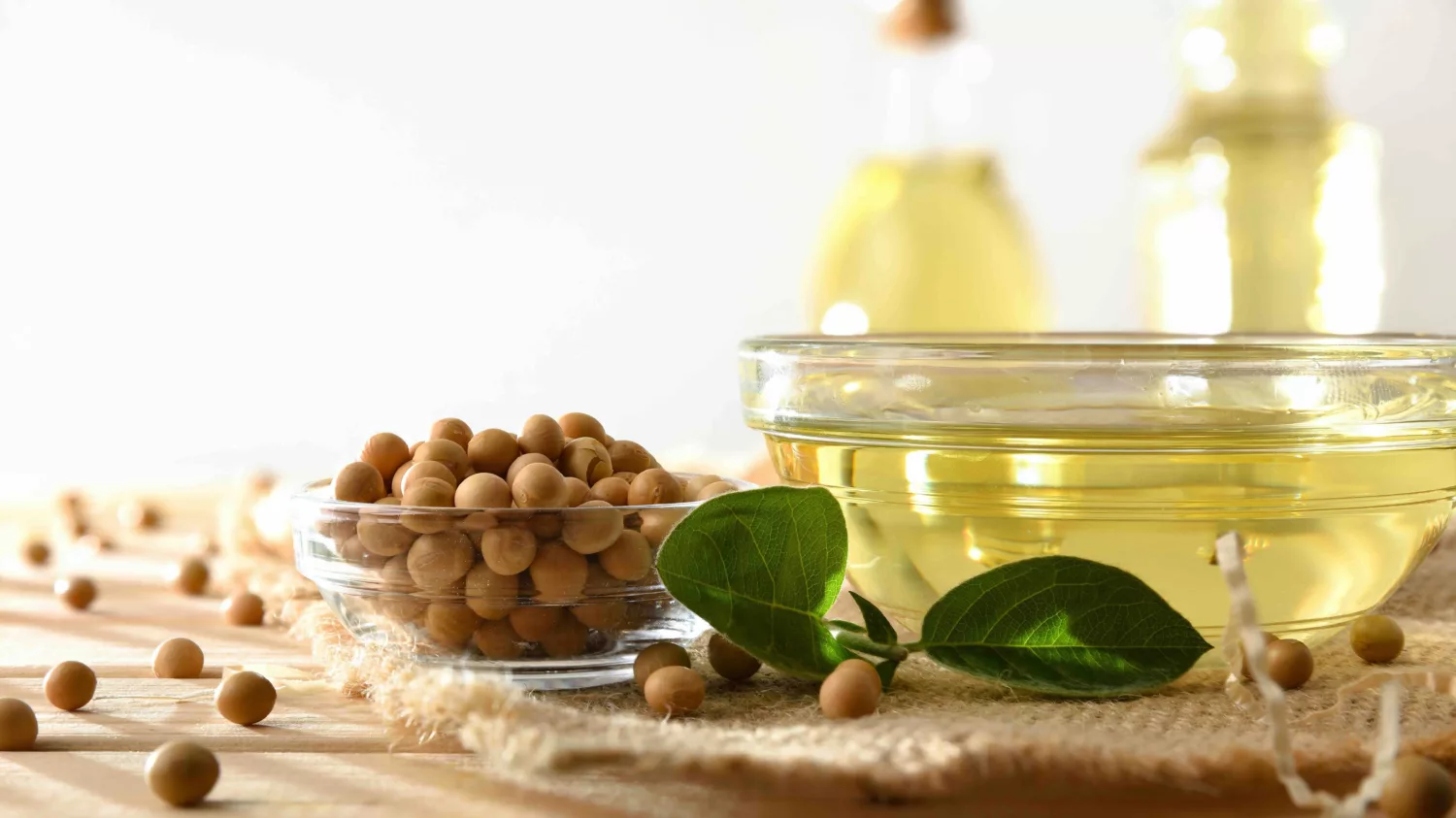 Different presentations of soybeans and soybean oil
