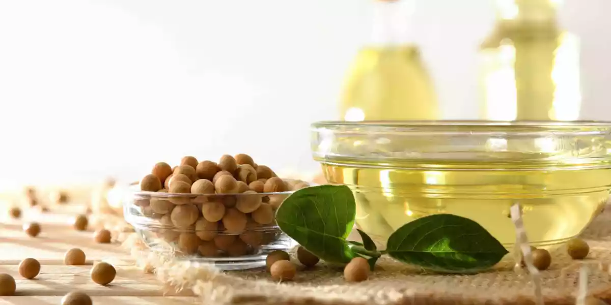 Different presentations of soybeans and soybean oil