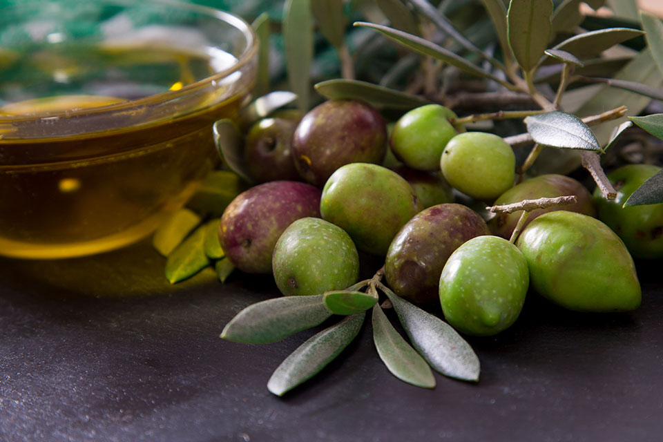 5 beneficios saludables del Aceite de Oliva