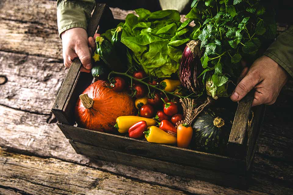 Beneficios de consumir alimentos orgánicos