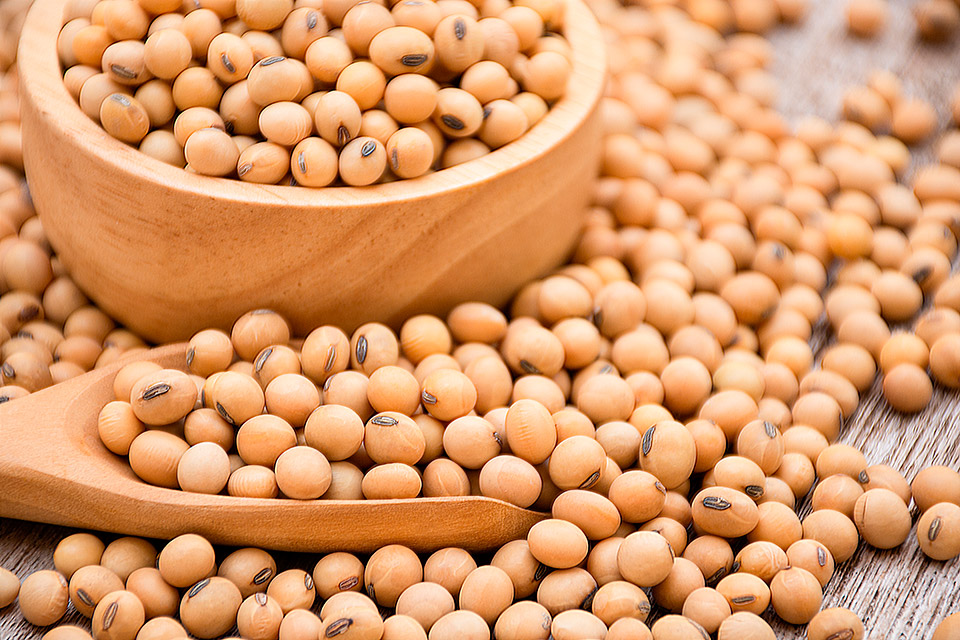 ¿Por qué el aceite de soya posee el mejor balance de omegas?