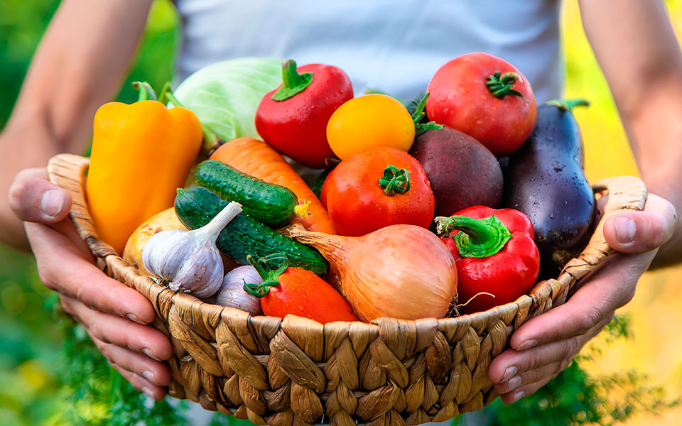 Tips prácticos para llevar una alimentación saludable y sostenible