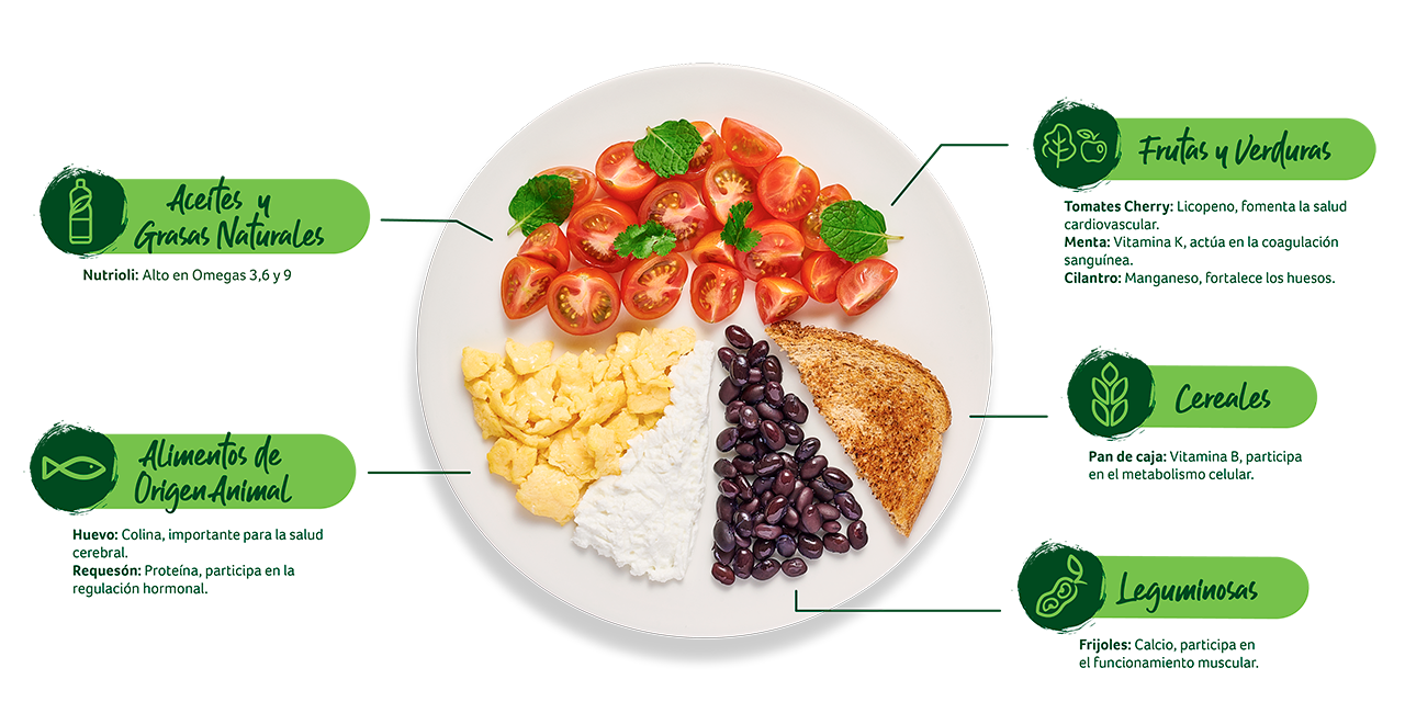 Paso Plato del buen comer - Toast de Huevo