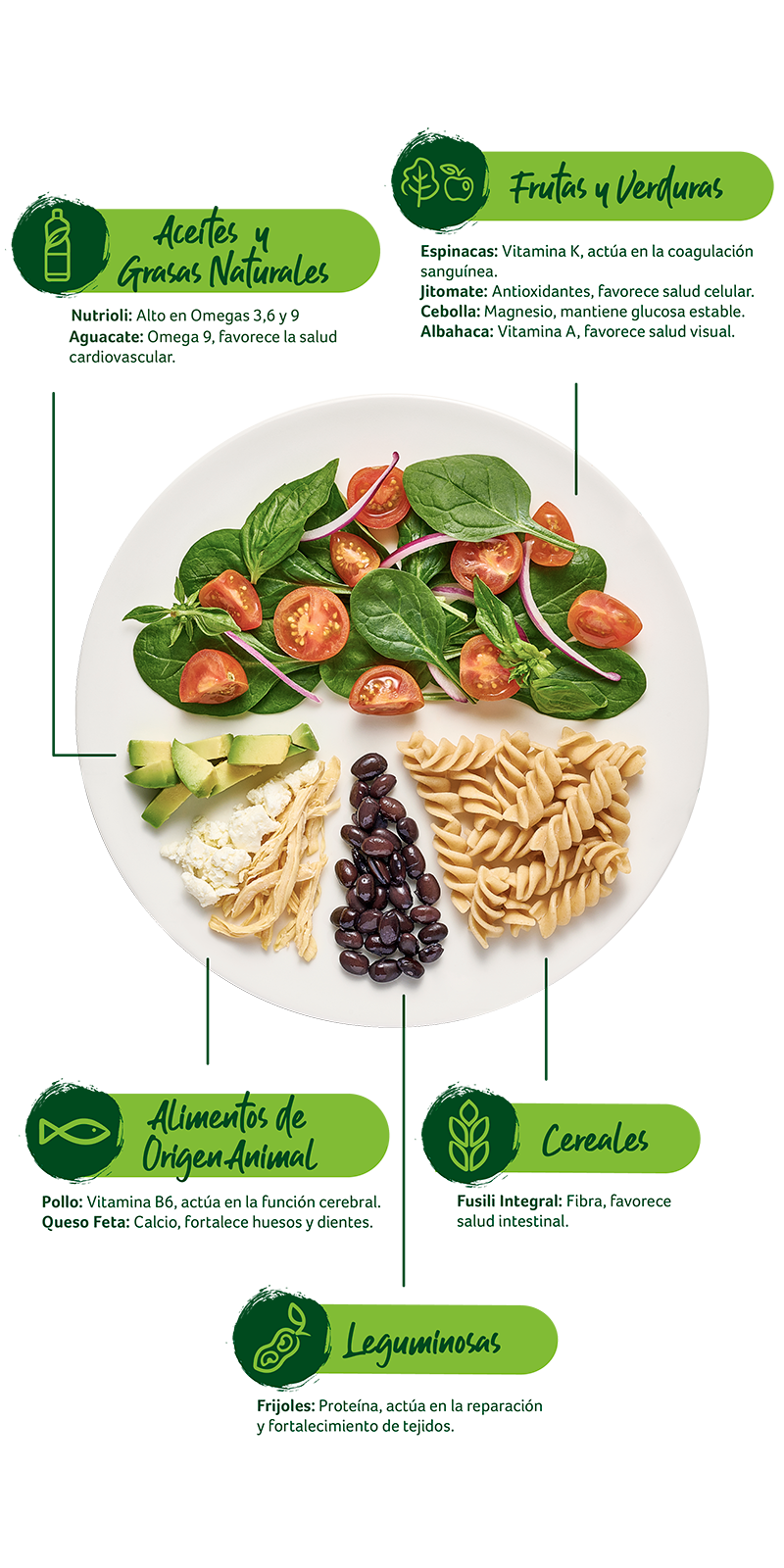 Paso Plato del buen comer - Ensalada de pollo con pasta